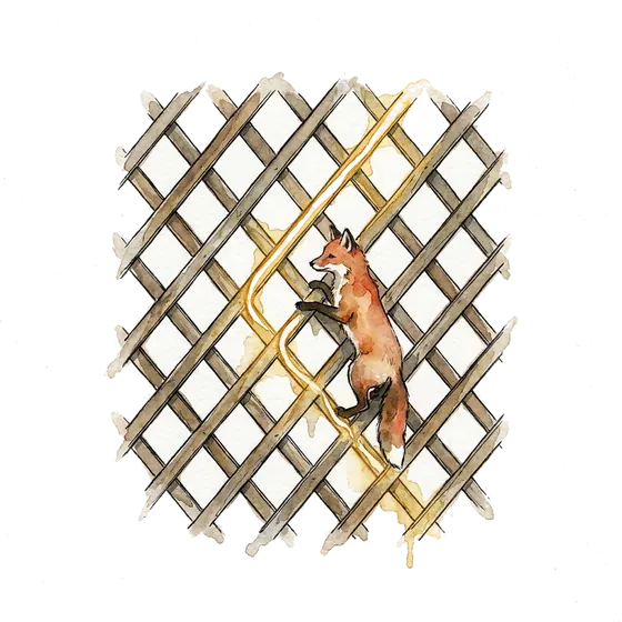 A watercolour trellis lattice with one glowing path, illustrating the closest vector problem and the astra model cyber controls
