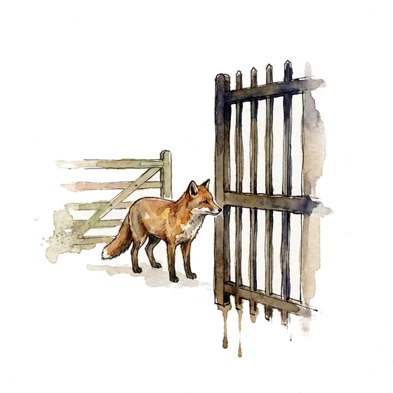 mobile measurement partner and consent asymmetry: an ink-drawn fox between one tall barred gate and one low open gate